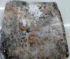 Welsoft Halı Örtüsü  6 Metrekare