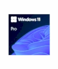 Windows 11 Pro OEM 64Bit İngilizce